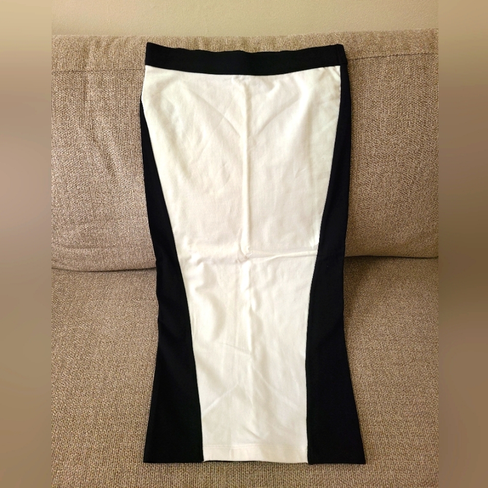 Express Pencil Skirt